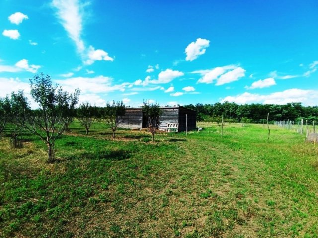 Eladó telek, Sződön 199.9 M Ft / költözzbe.hu