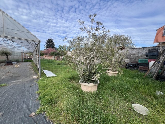 Eladó családi ház, Budapesten, XV. kerületben 109.9 M Ft