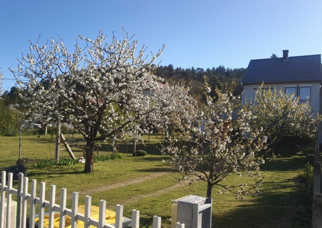 Eladó családi ház, Gyenesdiáson 73 M Ft, 3+2 szobás