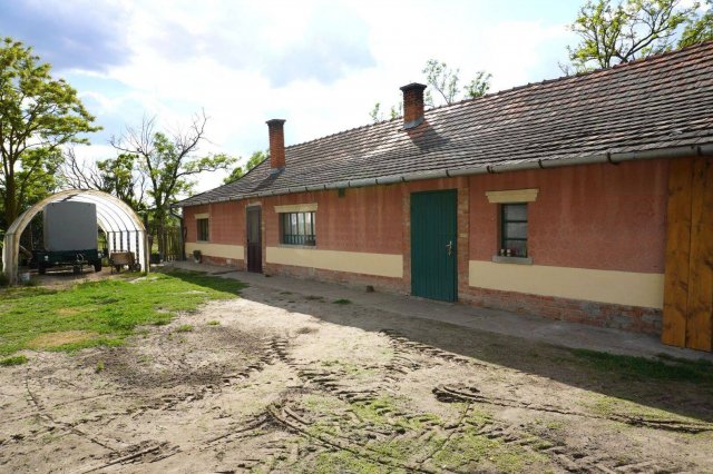 Eladó mezogazdasagi ingatlan, Balástyán 32.9 M Ft, 3 szobás