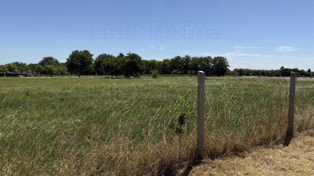 Eladó telek, Felsőpáhokon 12 M Ft / költözzbe.hu