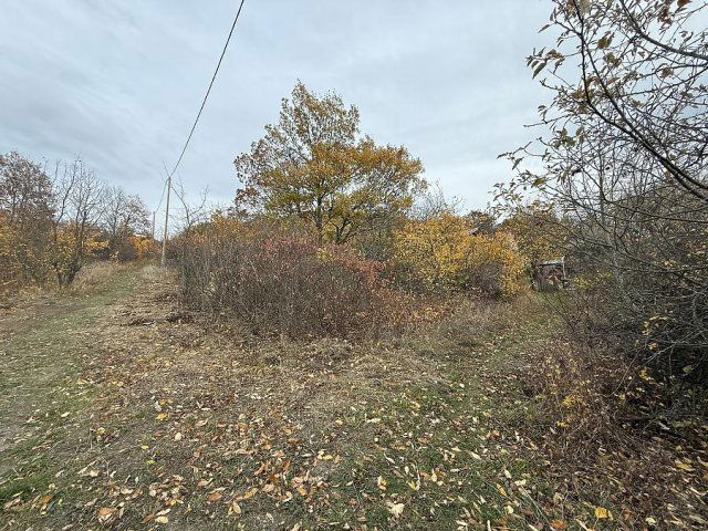 Eladó telek, Pomázon 8.955 M Ft / költözzbe.hu