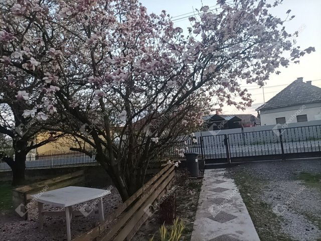 Eladó családi ház, Pacsán 39.9 M Ft, 3 szobás