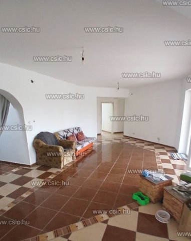 Eladó családi ház, Örkényen 125 M Ft, 7+3 szobás