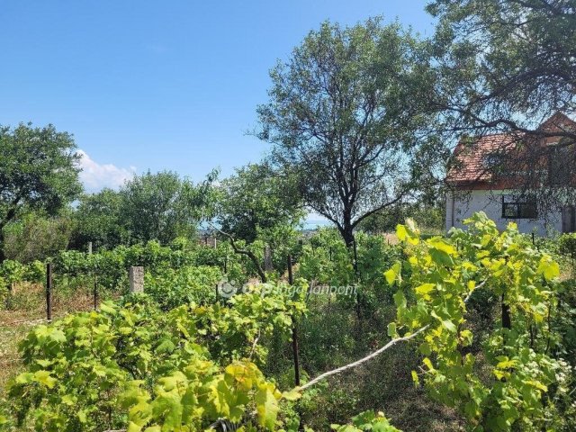 Eladó családi ház, Balatonalmádiban 158 M Ft, 3+2 szobás