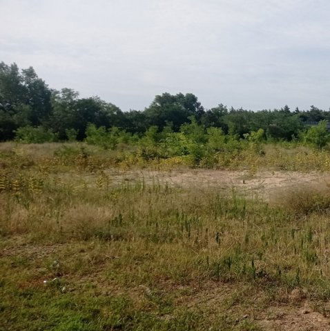 Eladó ipari ingatlan, Inárcson 227 M Ft / költözzbe.hu