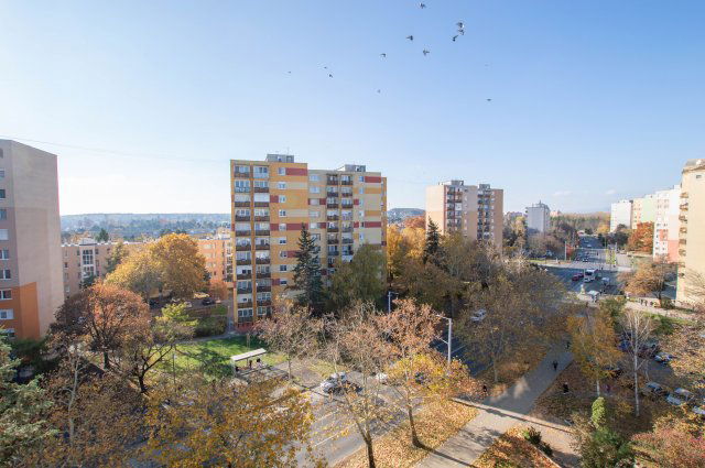 Eladó téglalakás, Szombathelyen 44.8 M Ft, 3 szobás