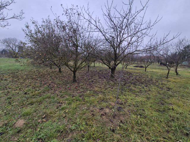 Eladó telek, Cserszegtomajon 24.99 M Ft / költözzbe.hu