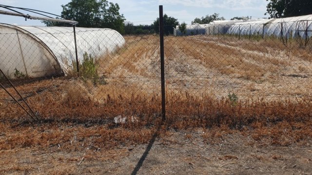Eladó mezogazdasagi ingatlan, Szentesen 5.5 M Ft