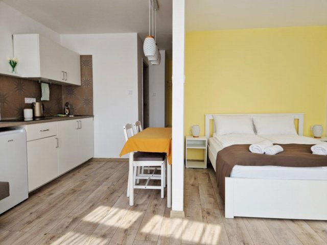 Kiadó téglalakás, albérlet, Pécsett, Rákóczi úton, 1 szobás