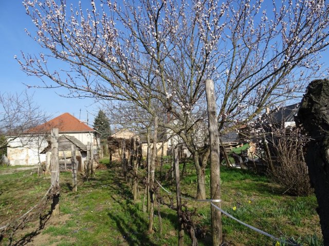 Eladó családi ház, Romándon 35 M Ft, 2 szobás