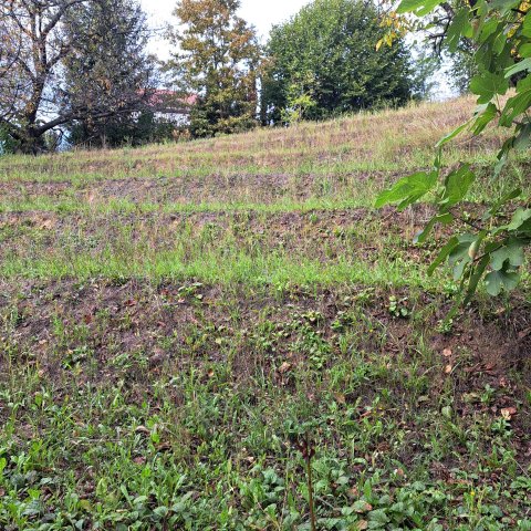 Eladó telek, Zalakaroson 14.5 M Ft / költözzbe.hu