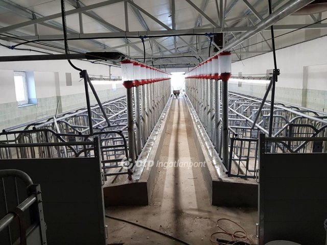 Eladó ipari ingatlan, Hajdúdorogon 250 M Ft / költözzbe.hu