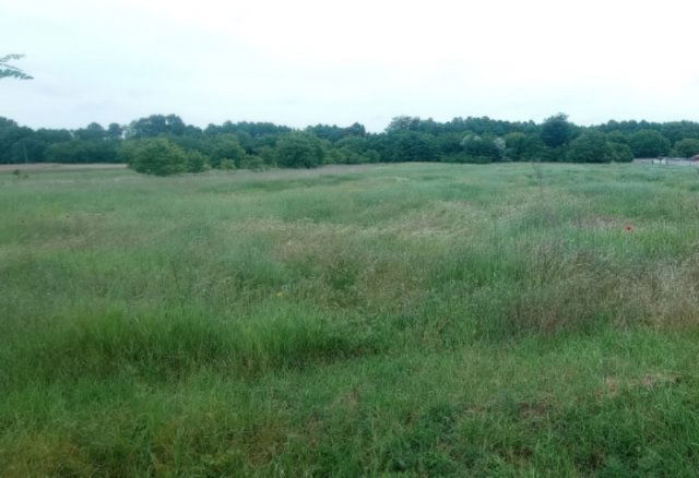 Eladó telek, Dabason 57 M Ft / költözzbe.hu