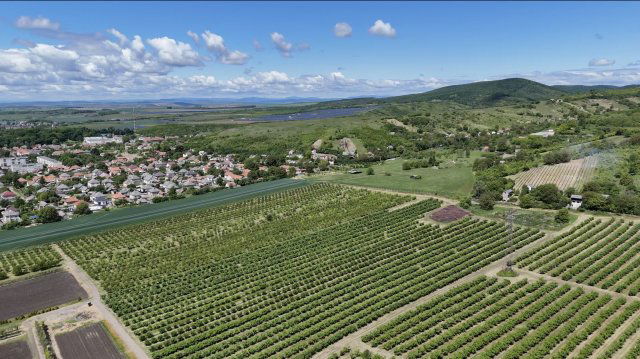 Eladó mezogazdasagi ingatlan, Putnokon 390 M Ft