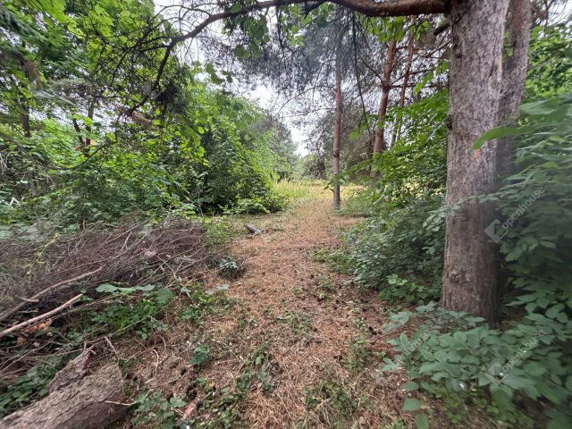 Eladó telek, Monoron 11.99 M Ft / költözzbe.hu