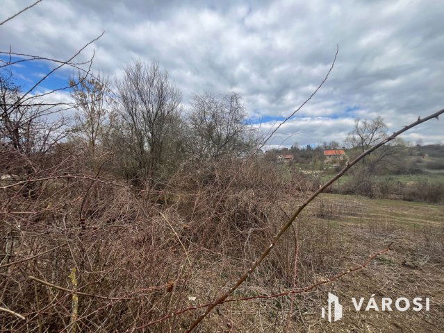 Eladó telek, Budakalászon 6 M Ft / költözzbe.hu