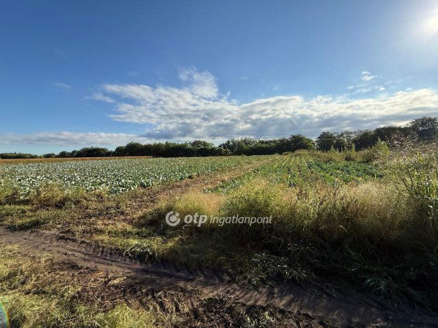 Eladó ipari ingatlan, Újfehértón 35 M Ft / költözzbe.hu
