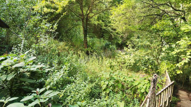 Eladó telek, Budapesten, II. kerületben 289 M Ft