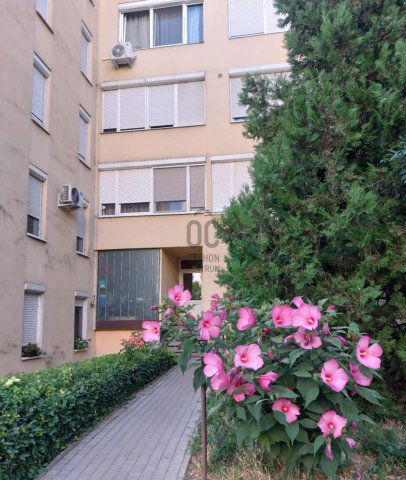 Eladó téglalakás, Szekszárdon, Alisca utcában 36.8 M Ft