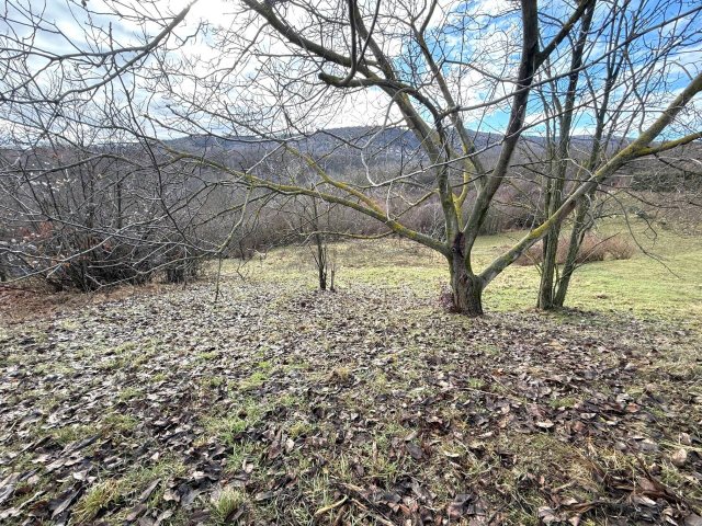 Eladó telek, Pécsett 12.9 M Ft / költözzbe.hu