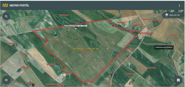 Eladó telek, Kiskunfélegyházán 7.7 M Ft / költözzbe.hu