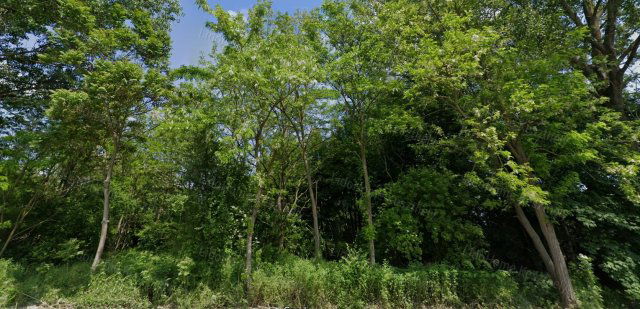 Eladó mezogazdasagi ingatlan, Esztergályhorvátiban 2.7 M Ft