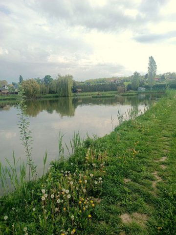 Eladó mezogazdasagi ingatlan, Pécsváradon 140 M Ft