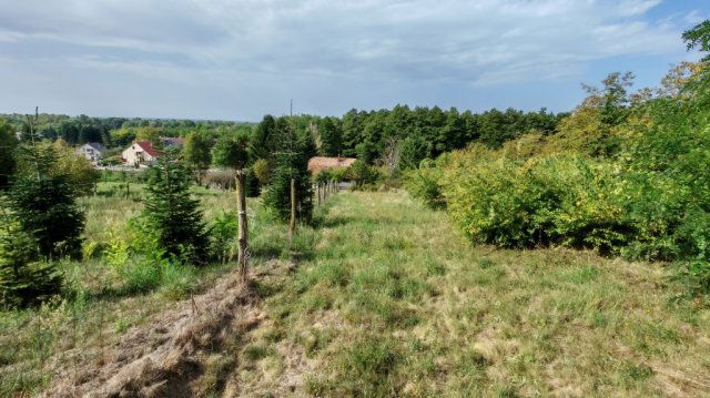 Eladó nyaraló, Zákányon 19.99 M Ft, 2 szobás
