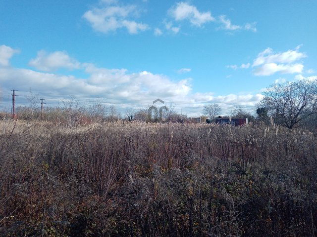 Eladó mezogazdasagi ingatlan, Szigethalmon 10 M Ft