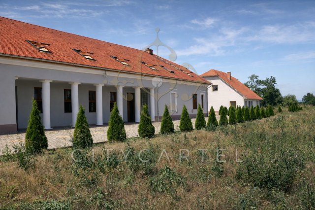 Eladó családi ház, Érsekvadkerten 299 M Ft, 12 szobás
