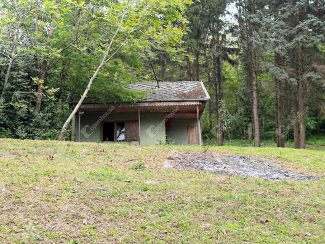 Eladó telek, Zalaegerszegen 7.9 M Ft / költözzbe.hu