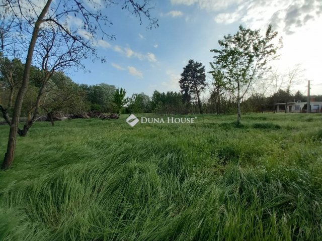 Eladó családi ház, Tiszakécskén 26 M Ft, 3 szobás