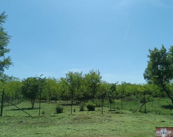 Eladó telek, Monorierdőn 9.9 M Ft / költözzbe.hu