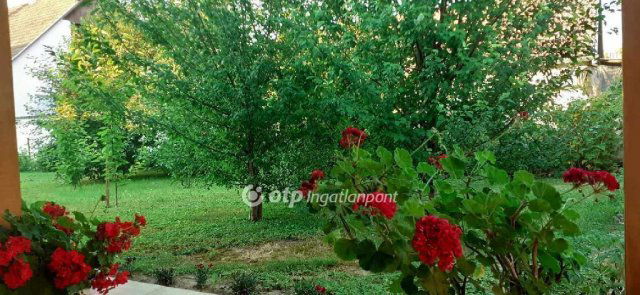 Eladó családi ház, Szederkényen 74.99 M Ft, 5 szobás