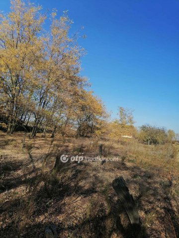 Eladó mezogazdasagi ingatlan, Kiskőrösön 15 M Ft