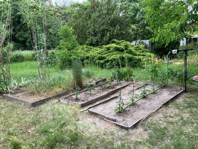 Eladó telek, Bőnyön 14.5 M Ft / költözzbe.hu