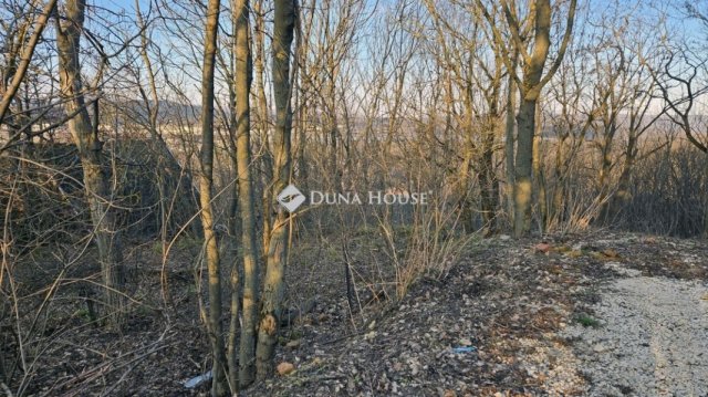 Eladó telek, Biatorbágyon 9.5 M Ft / költözzbe.hu