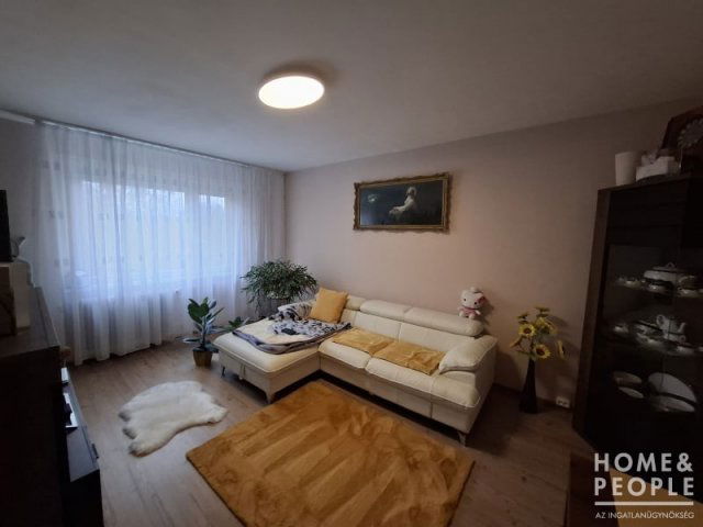 Eladó téglalakás, Szegeden 59 M Ft, 2 szobás