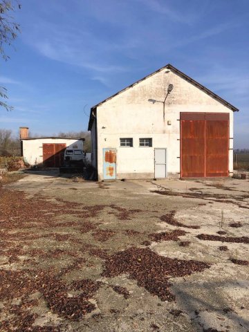 Eladó ipari ingatlan, Újkígyóson 44 M Ft / költözzbe.hu