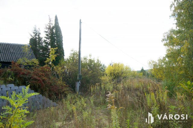 Eladó mezogazdasagi ingatlan, Domonyban 15.8 M Ft