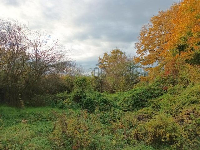 Eladó telek, Türjén 3 M Ft / költözzbe.hu