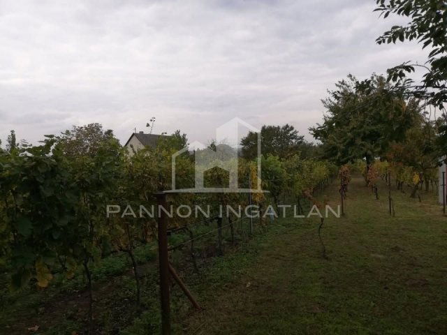 Eladó telek, Somlószőlősön 12 M Ft / költözzbe.hu