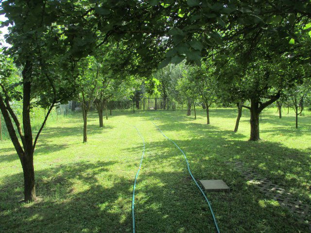 Eladó nyaraló, Gyomaendrődön 21.5 M Ft, 1+1 szobás
