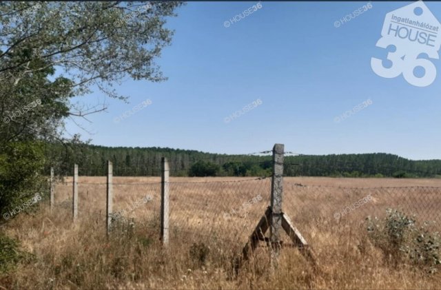 Eladó telek, Tiszaalpáron 5.9 M Ft / költözzbe.hu