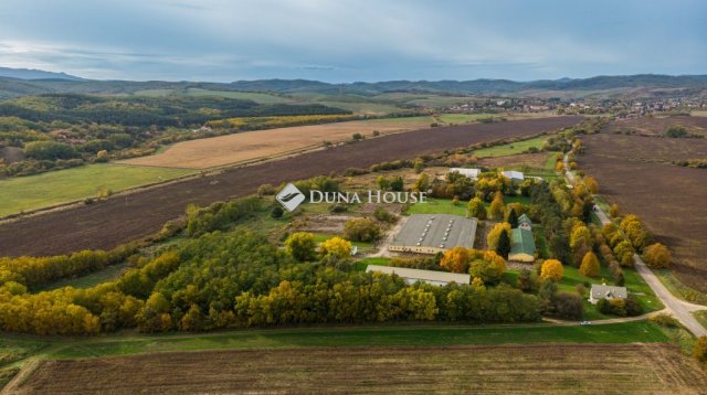 Eladó ipari ingatlan, Pétervásárán 500 M Ft