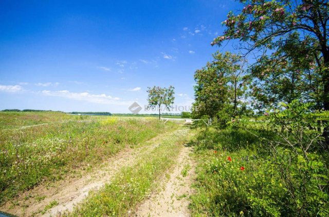 Eladó ipari ingatlan, Inárcson 120 M Ft / költözzbe.hu