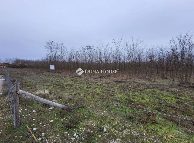 Eladó telek, Dabason 15 M Ft / költözzbe.hu