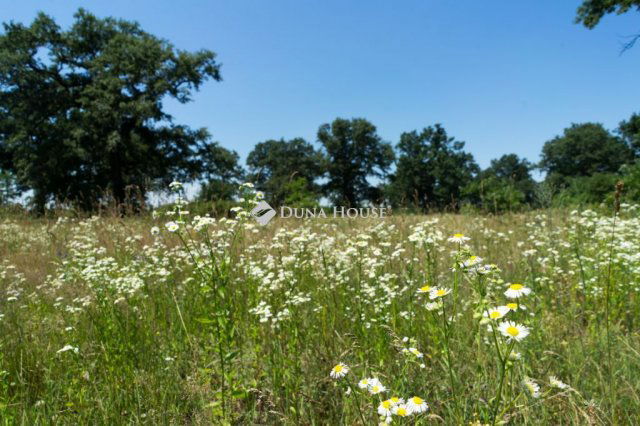 Eladó mezogazdasagi ingatlan, Somogyváron 390 M Ft