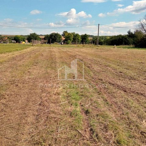 Eladó telek, Csajágon 6.99 M Ft / költözzbe.hu